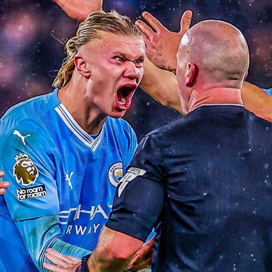 争论雄鹿是 争论雄鹿是